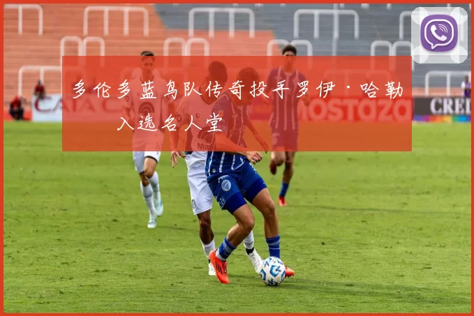 多伦多蓝鸟队传奇投手罗伊·哈勒戴入选名人堂