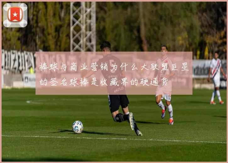 棒球与商业营销为什么大联盟巨星的签名球棒是收藏界的硬通货