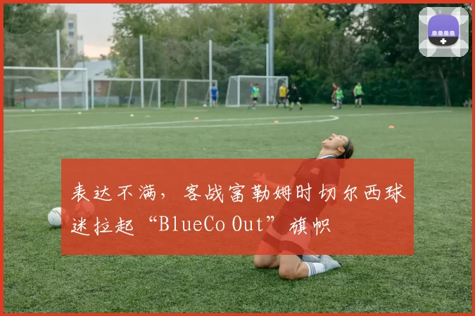 表达不满，客战富勒姆时切尔西球迷拉起“BlueCo Out”旗帜