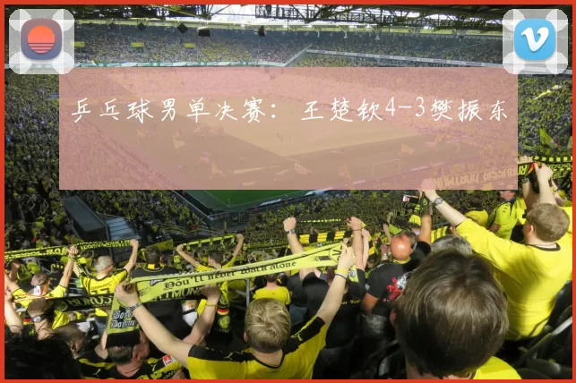 乒乓球男单决赛：王楚钦4-3樊振东