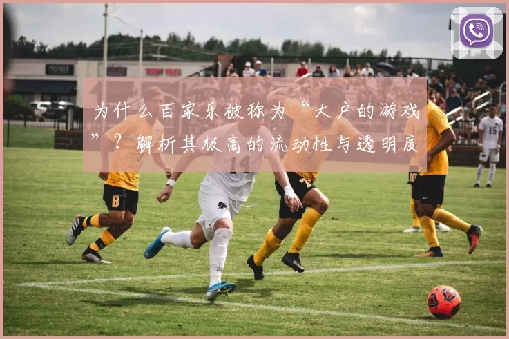 为什么百家乐被称为“大户的游戏”？解析其极高的流动性与透明度。（百家乐为何被视为大户最爱？解读其超高流动性与透明度）