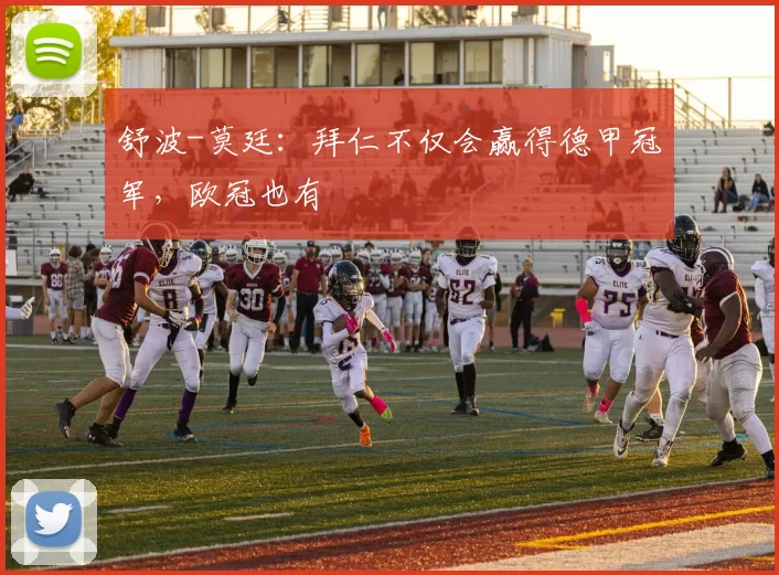 舒波-莫廷：拜仁不仅会赢得德甲冠军，欧冠也有