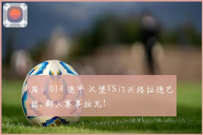 周六014 德甲 汉堡VS门兴格拉德巴赫,鄙人赛事拙见！